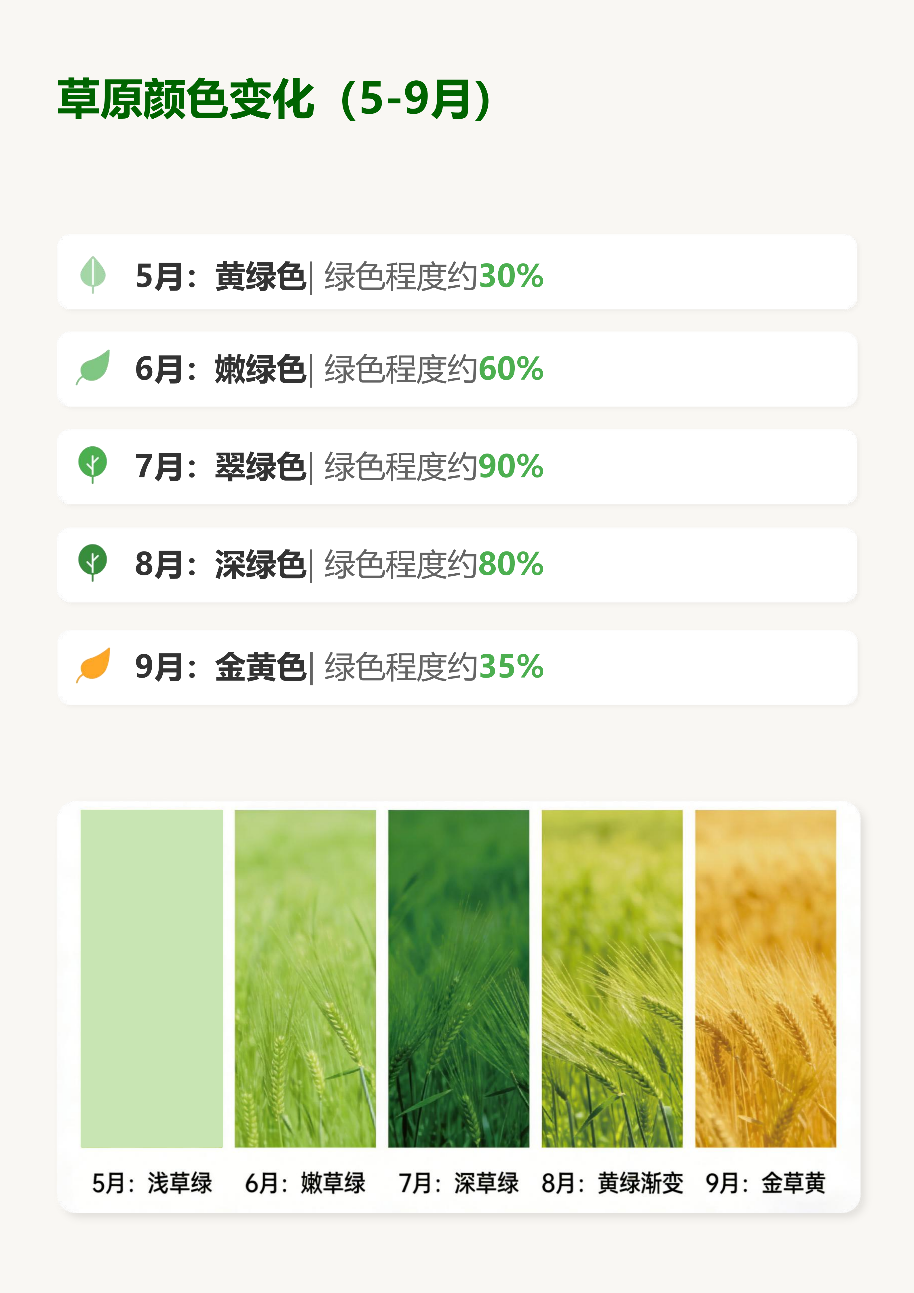 页面25